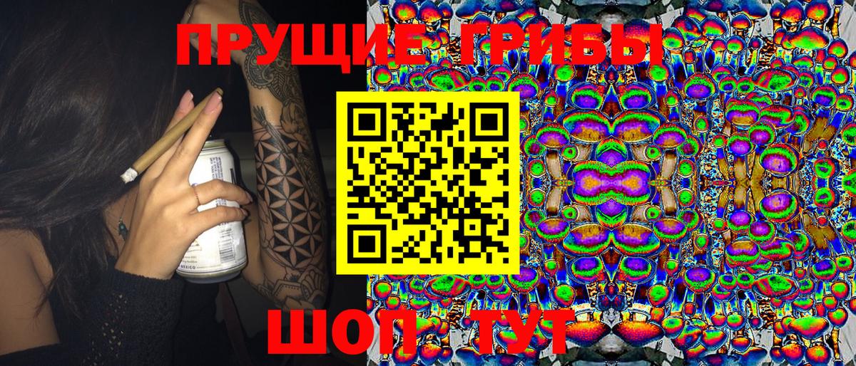 Галлюциногенные грибы Cubensis  Псилоцибиновые грибы Cubensis  Вход с VPN  Чайковский 